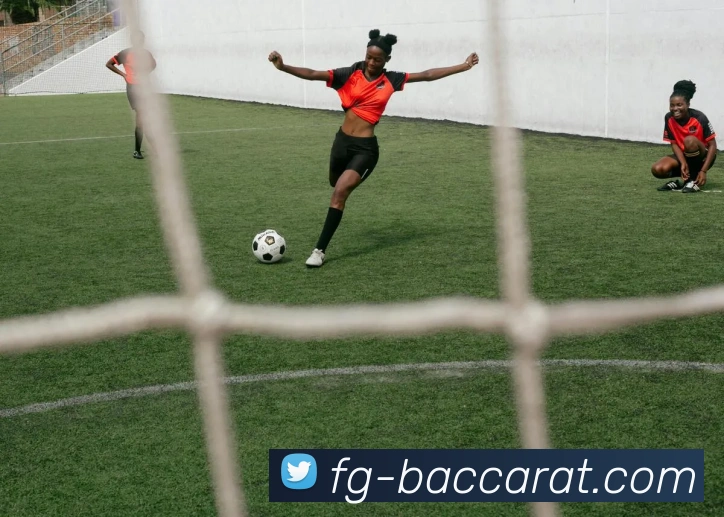 百家乐官网平台生态图